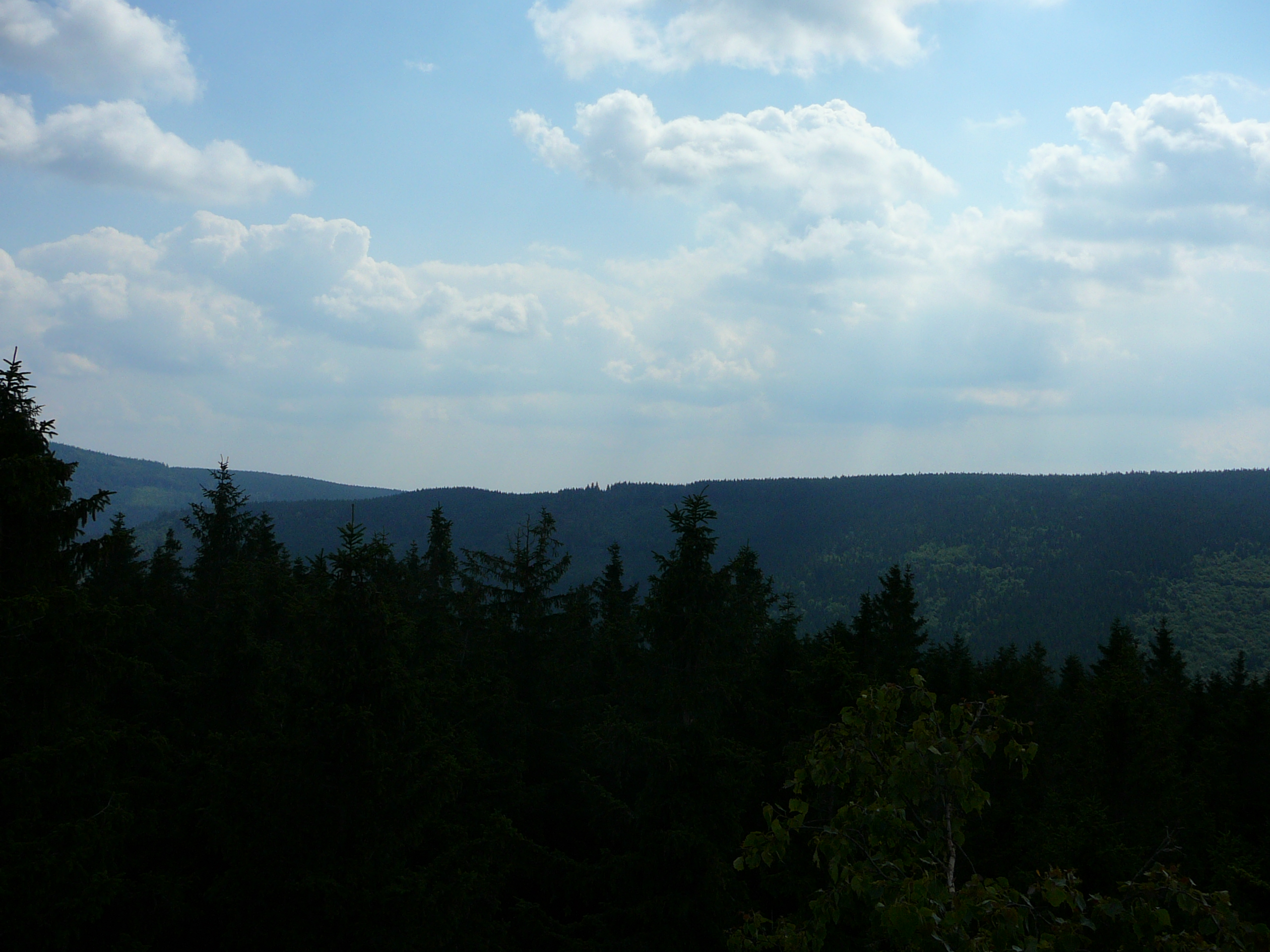P1020017